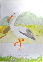 Majerčáková Lucia.jpg